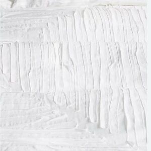 Anthropologie Vanderbilt King Comforter and Shams